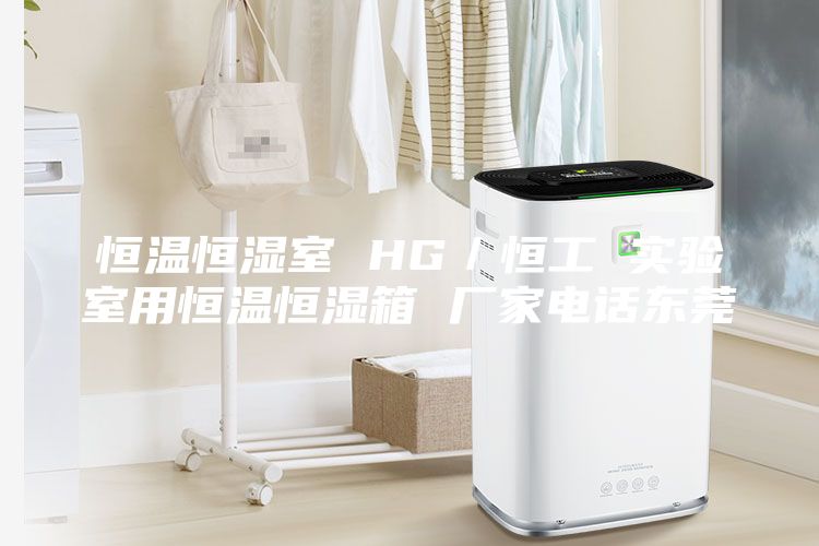 恒温恒湿室 HG／恒工 实验室用恒温恒湿箱 厂家电话东莞