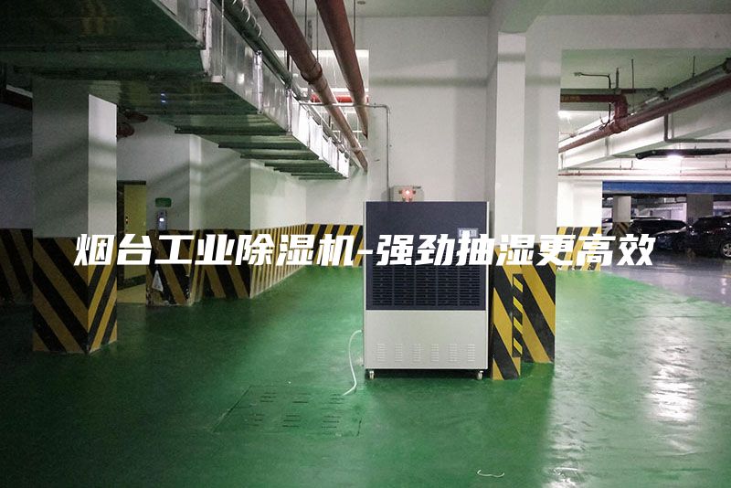烟台工业除湿机-强劲抽湿更高效