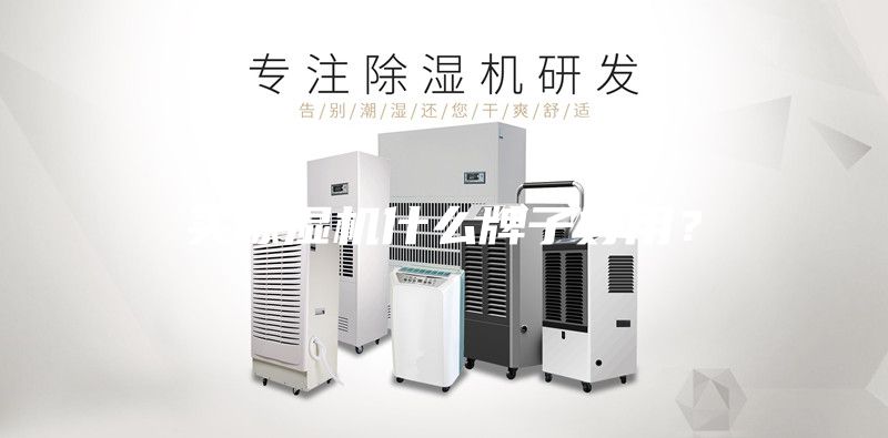 买除湿机什么牌子好用？
