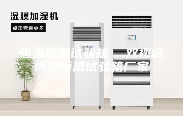 恒温恒湿试验箱  双视窗恒温恒湿试验箱厂家