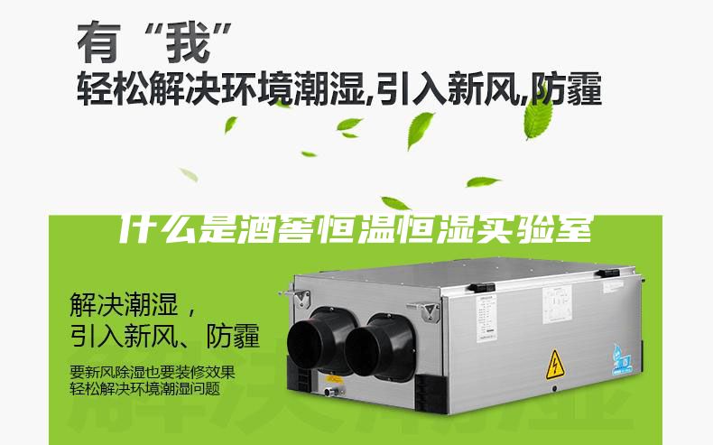 什么是酒窖恒温恒湿实验室