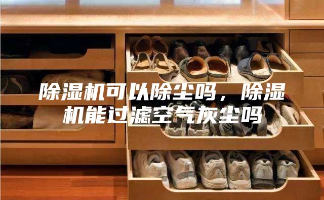 除湿机可以除尘吗，除湿机能过滤空气灰尘吗