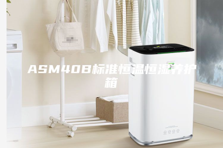 ASM40B标准恒温恒湿养护箱