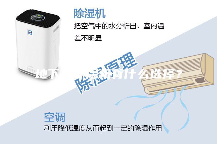 地下室除湿机有什么选择？