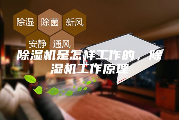 除湿机是怎样工作的，除湿机工作原理
