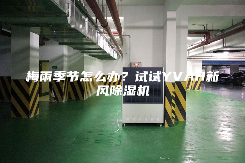 梅雨季节怎么办?试试YVAH新风除湿机