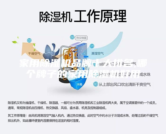 家用除湿机品牌十大排名,哪个牌子的家用除湿机好用