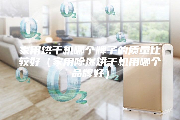 家用烘干机哪个牌子的质量比较好（家用除湿烘干机用哪个品牌好）
