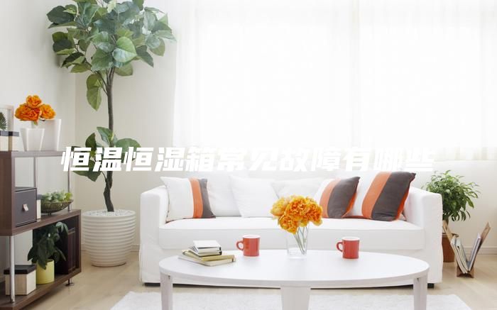 恒温恒湿箱常见故障有哪些