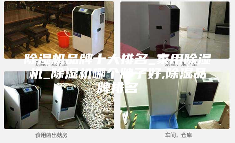 除湿机品牌十大排名_家用除湿机_除湿机哪个牌子好,除湿品牌排名