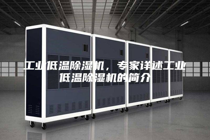 工业低温除湿机，专家详述工业低温除湿机的简介