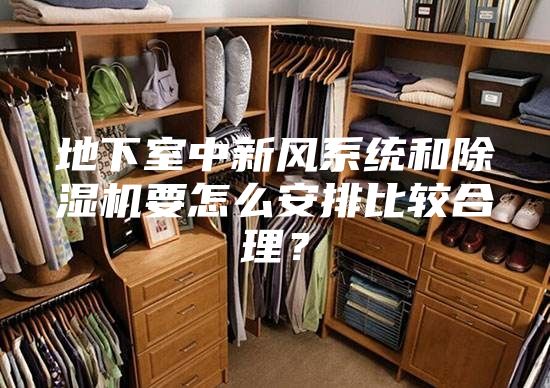 地下室中新风系统和除湿机要怎么安排比较合理?