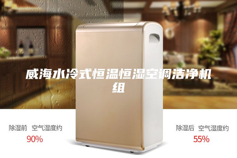 威海水冷式恒温恒湿空调洁净机组