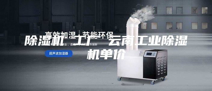 除湿机 工厂 云南工业除湿机单价