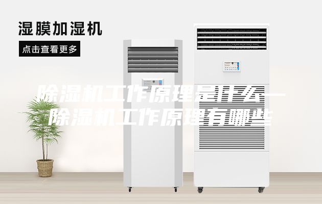 除湿机工作原理是什么—除湿机工作原理有哪些