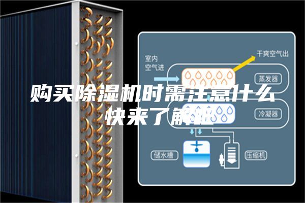 购买除湿机时需注意什么 快来了解吧