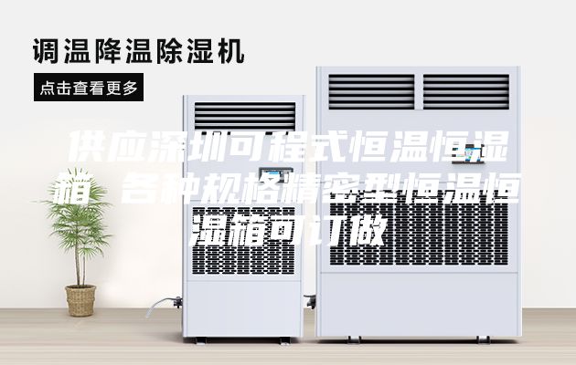 供应深圳可程式恒温恒湿箱 各种规格精密型恒温恒湿箱可订做