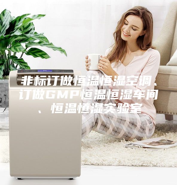 非标订做恒温恒湿空调、订做GMP恒温恒湿车间、恒温恒湿实验室