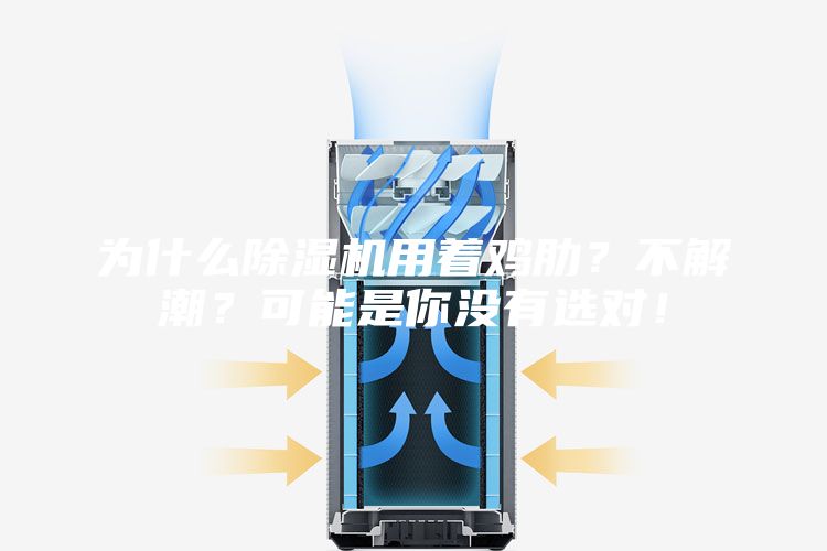 为什么除湿机用着鸡肋？不解潮？可能是你没有选对！