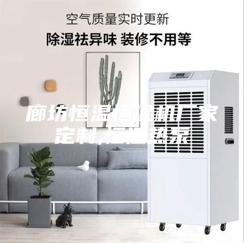 廊坊恒温恒湿机厂家定制,恒温热泵