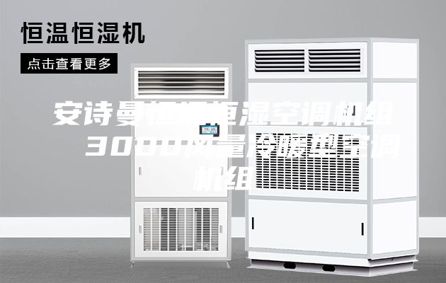 安诗曼恒温恒湿空调机组  3000风量冷暖型空调机组