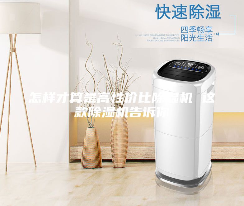 怎样才算是高性价比除湿机 这款除湿机告诉你