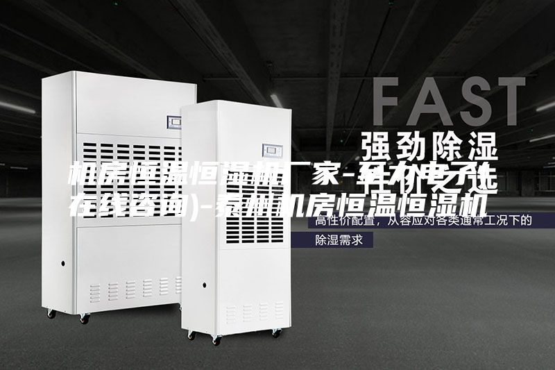 机房恒温恒湿机厂家-至力电子(在线咨询)-泰州机房恒温恒湿机