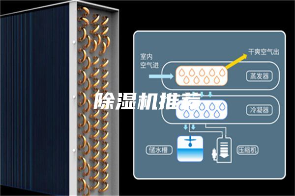 除湿机推荐