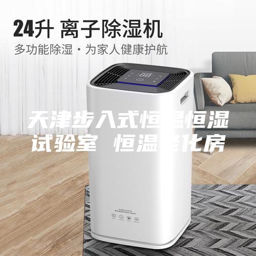 天津步入式恒温恒湿试验室 恒温老化房