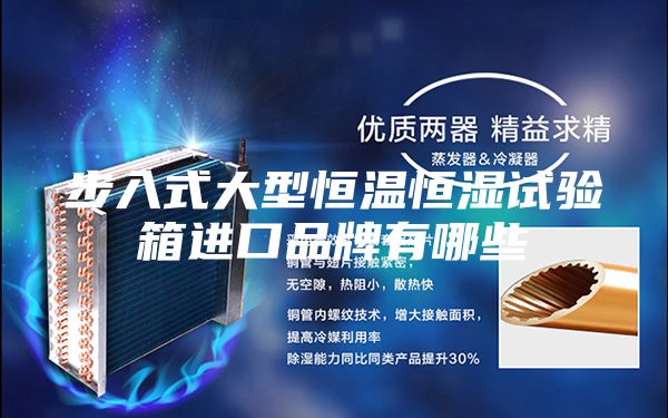 步入式大型恒温恒湿试验箱进口品牌有哪些