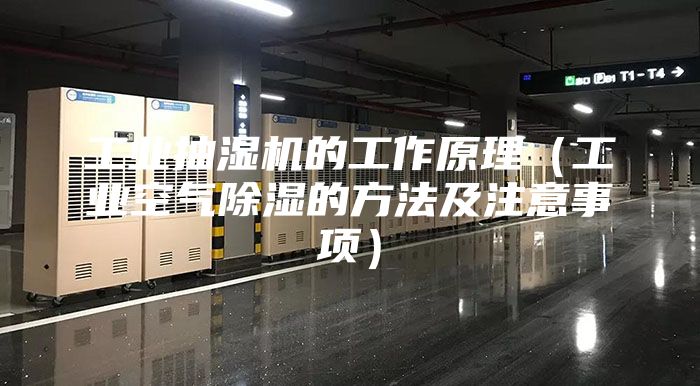 工业抽湿机的工作原理（工业空气除湿的方法及注意事项）