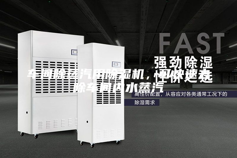 车间除蒸汽用除湿机，可快速去除车间内水蒸汽
