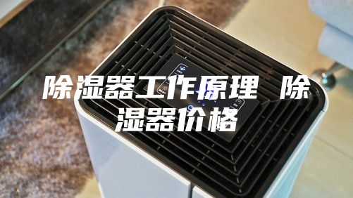 除湿器工作原理 除湿器价格