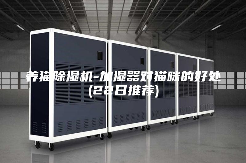 养猫除湿机-加湿器对猫咪的好处(22日推荐)