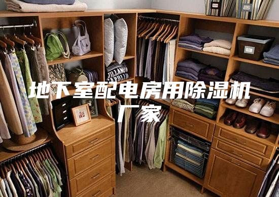 地下室配电房用除湿机厂家