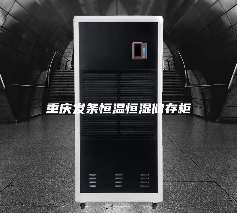 重庆发条恒温恒湿储存柜