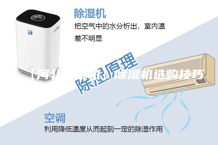【河北加湿机】除湿机选购技巧
