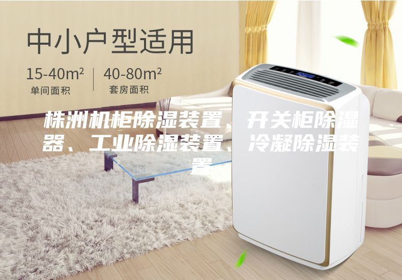 株洲机柜除湿装置、开关柜除湿器、工业除湿装置、冷凝除湿装置