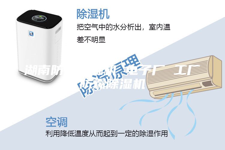 湖南防爆除湿机 电子厂 工厂防爆除湿机