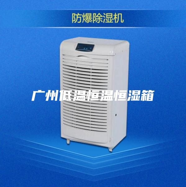 广州低温恒温恒湿箱