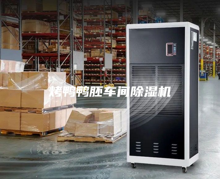 烤鸭鸭胚车间除湿机