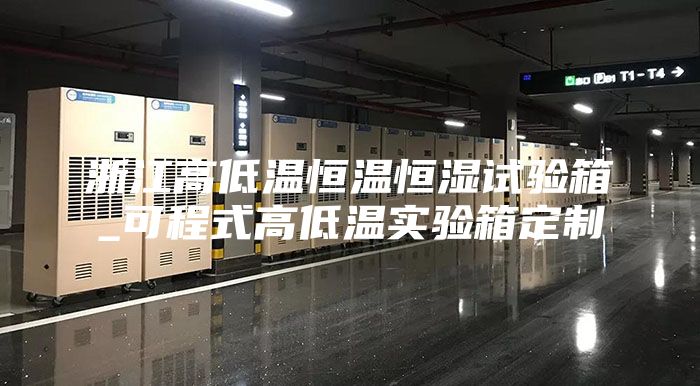浙江高低温恒温恒湿试验箱_可程式高低温实验箱定制