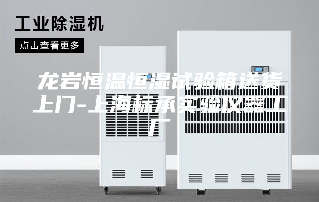 龙岩恒温恒湿试验箱送货上门-上海标承实验仪器工厂