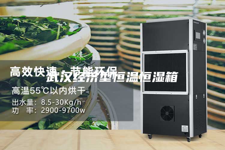 武汉经济型恒温恒湿箱