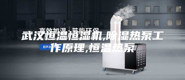 武汉恒温恒湿机,除湿热泵工作原理,恒温热泵