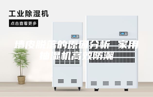 墙皮脱落的原因分析 家用抽湿机高效防潮