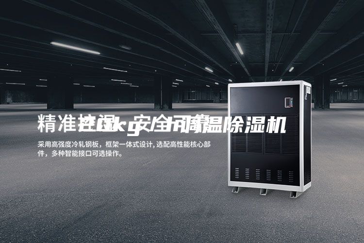 20kg／h调温除湿机