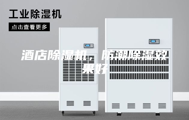 酒店除湿机，防潮除湿效果好