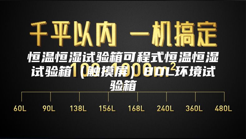 恒温恒湿试验箱可程式恒温恒湿试验箱（触摸屏）80L环境试验箱