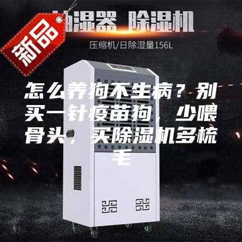 怎么养狗不生病？别买一针疫苗狗，少喂骨头，买除湿机多梳毛